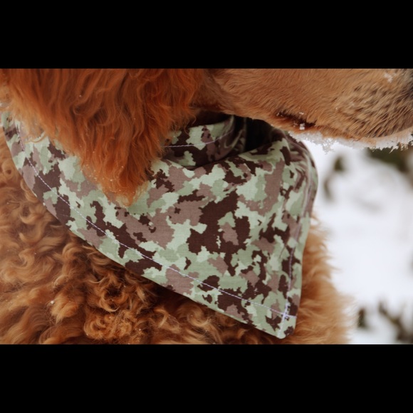 NEW ~random print~ MALE bandannas for dogs up to 55lbs - Picture 1 of 3